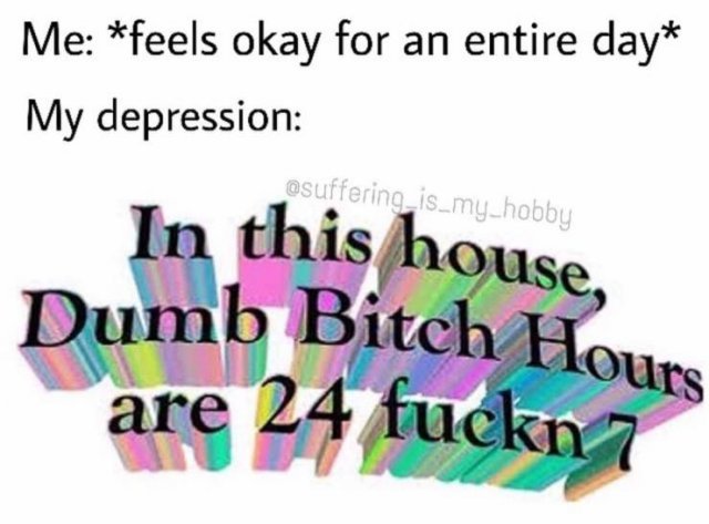 Depression Memes (55 pics)