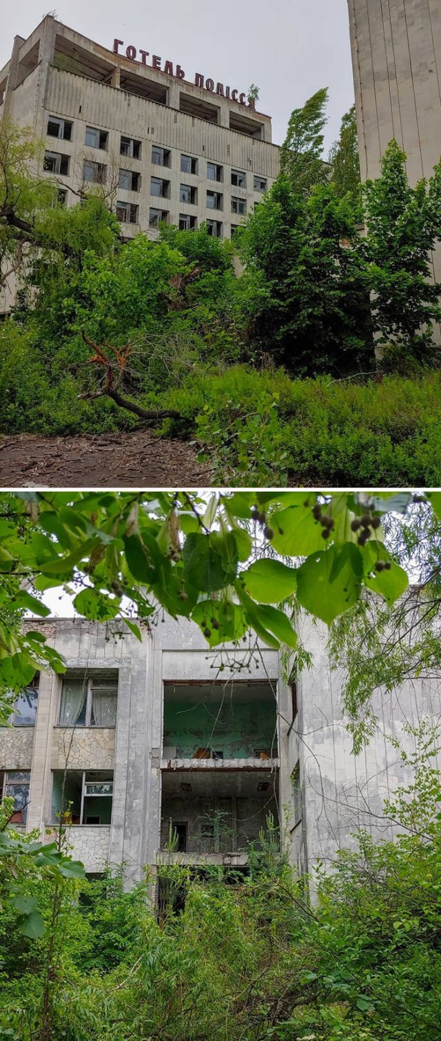 Nature Takes Chernobyl Back (65 pics) Nature Takes Chernobyl Back (65 pics)