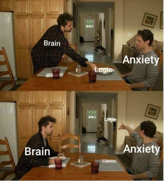 Depression Memes (55 pics)