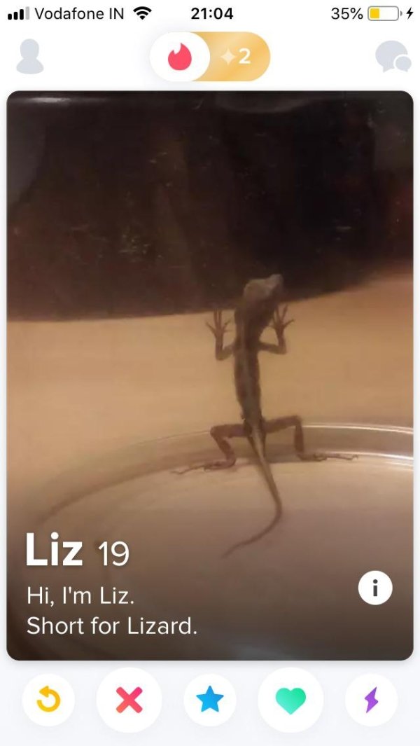 Seen On Tinder (26 pics)
