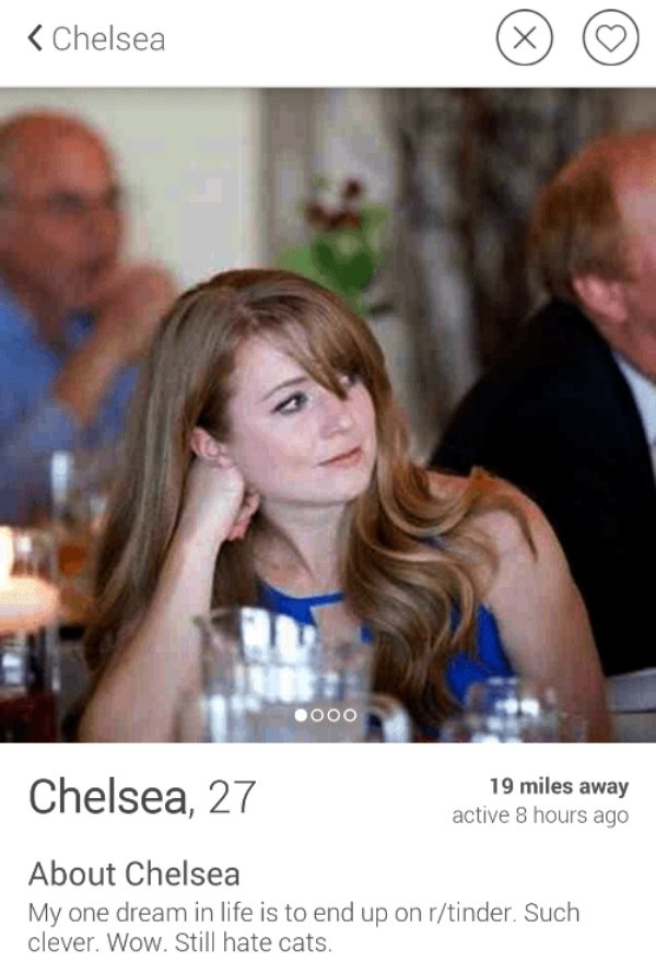 Seen On Tinder (26 pics)