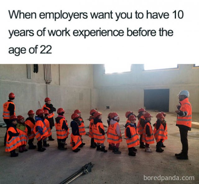 Job Interview Memes (58 pics)