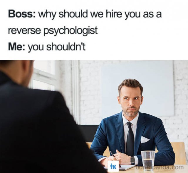 Job Interview Memes (58 pics)