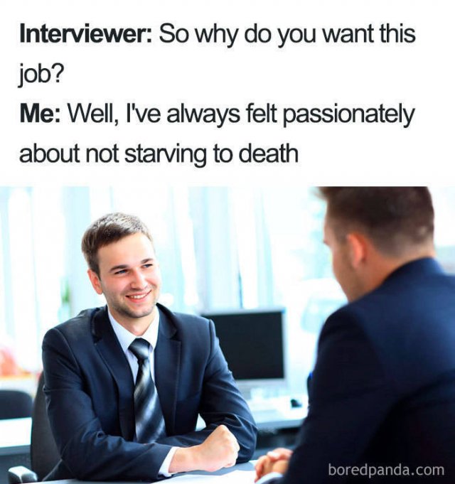Job Interview Memes (58 pics)