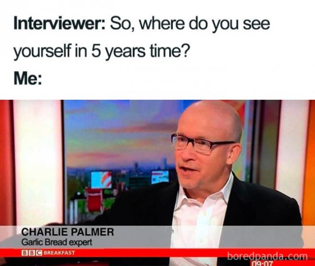 Job Interview Memes (58 pics)