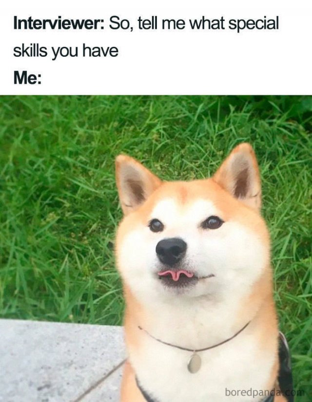 Job Interview Memes (58 pics)
