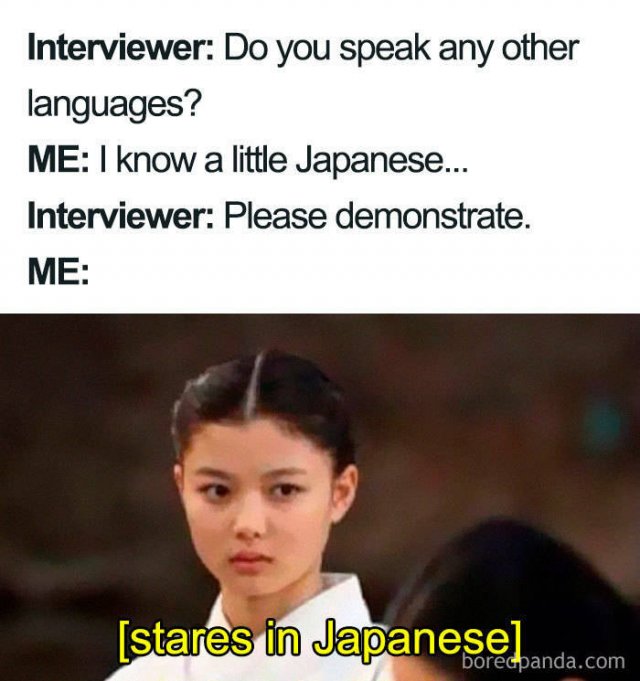 Job Interview Memes (58 pics)