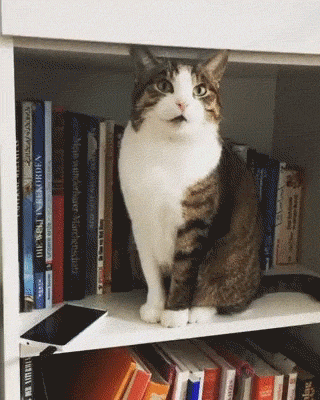 Acid Gifdump, June 27 (25 gifs)