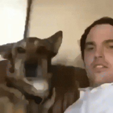 Acid Gifdump, June 27 (25 gifs)