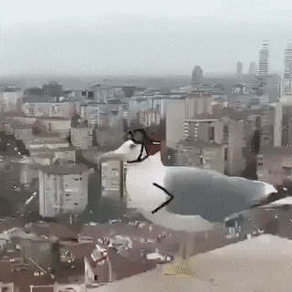 Acid Gifdump, June 27 (25 gifs)