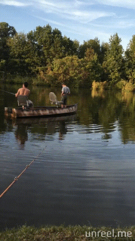 Acid Gifdump, June 27 (25 gifs)