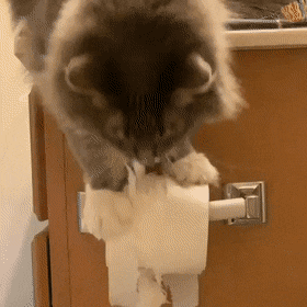 Acid Gifdump, June 27 (25 gifs)