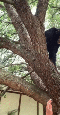 Acid Gifdump, June 27 (25 gifs)