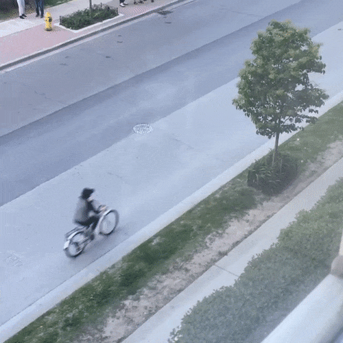 These Birds Are Very Angry (16 gifs)