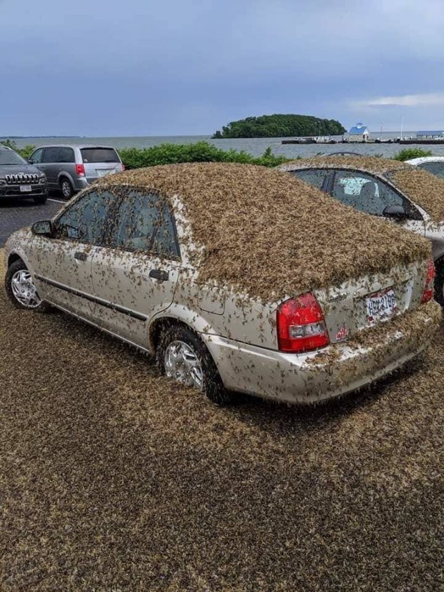 Acid Picdump. Part 2 (100 pics)
