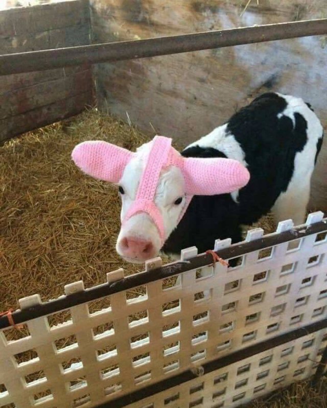 Acid Picdump. Part 2 (100 pics)