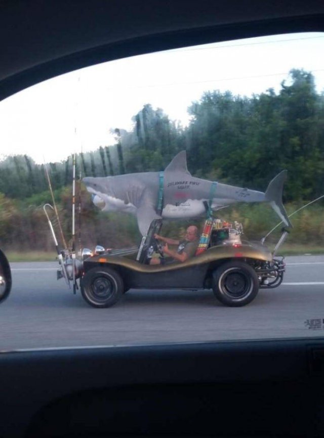 Acid Picdump. Part 2 (100 pics)