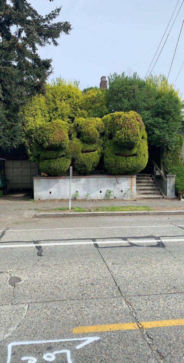 Acid Picdump. Part 2 (100 pics)