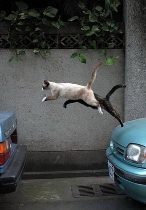 Acid Picdump. Part 2 (100 pics)