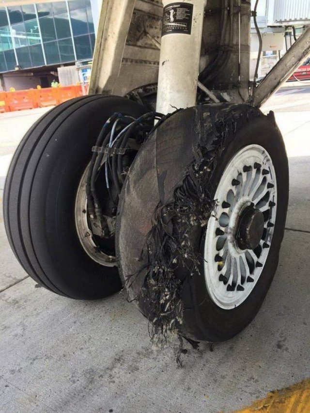 Sh*t Happens (55 pics)