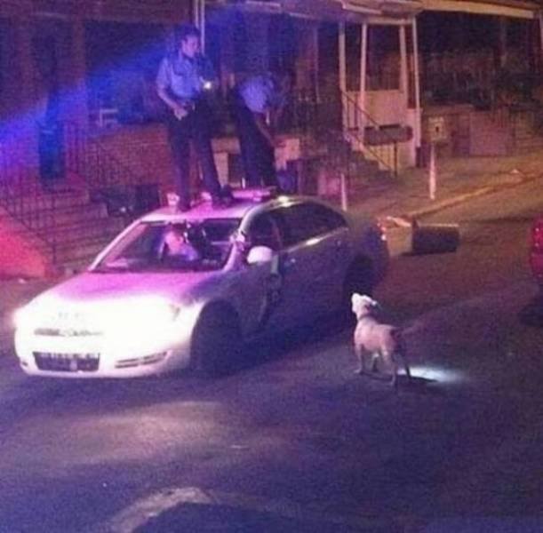 Sh*t Happens (55 pics)