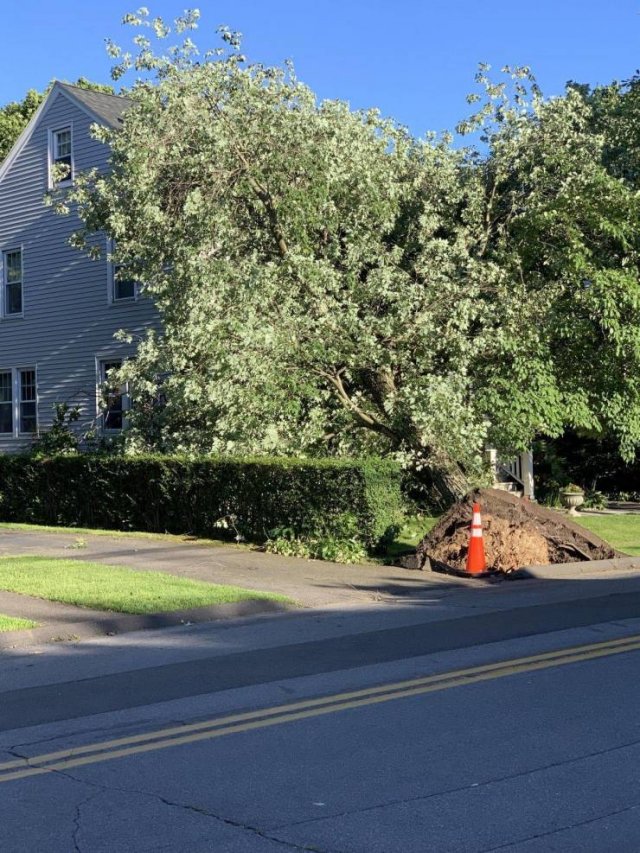 Sh*t Happens (55 pics)
