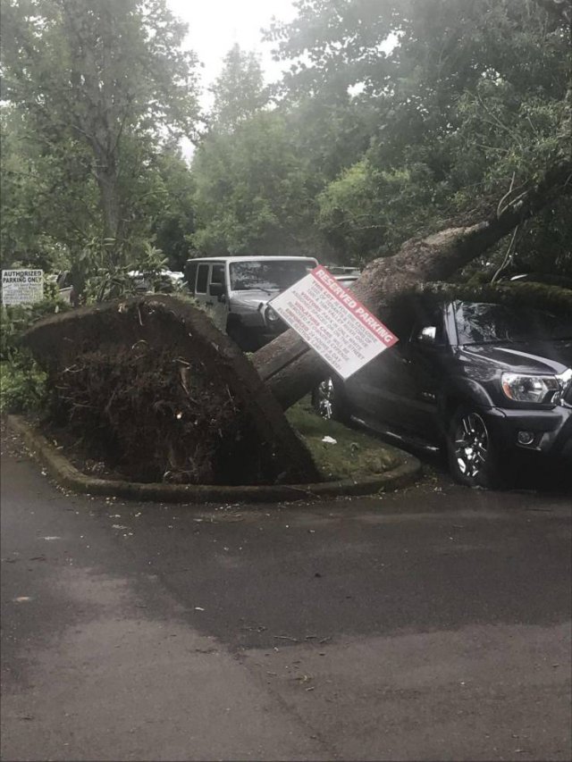 Sh*t Happens (55 pics)