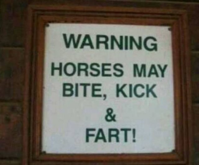 Very Strange Signs (29 pics)