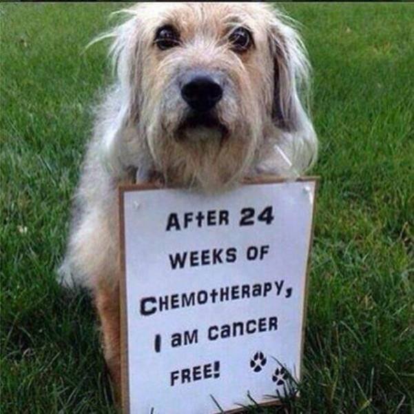 Life Is Awesome! (41 pics)