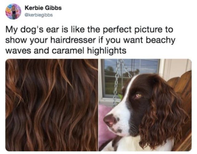 Period Memes (29 pics)