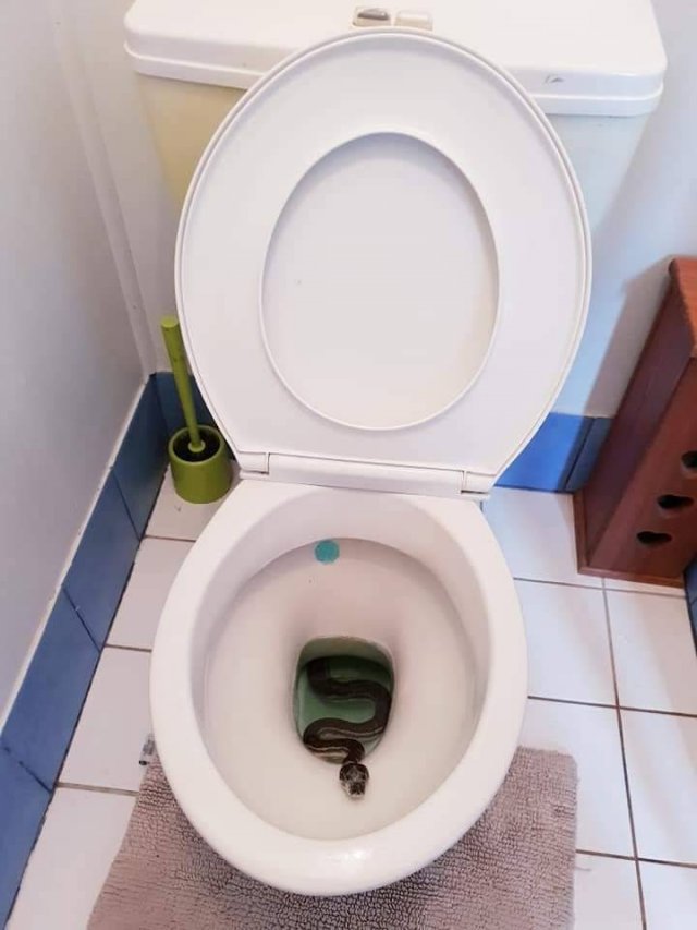 Sh*t Happens (55 pics)