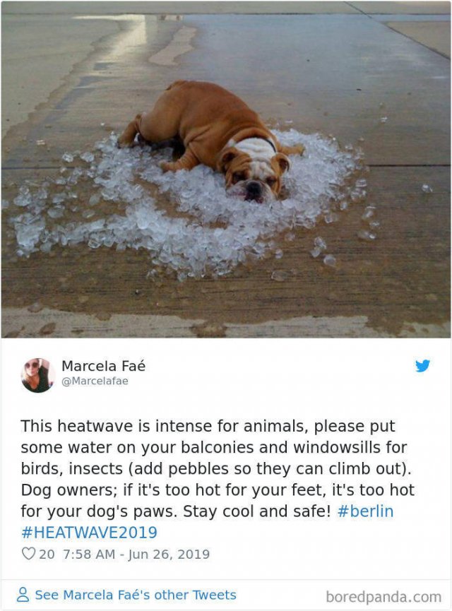 Europe Summer Heatwave Memes (28 pics)