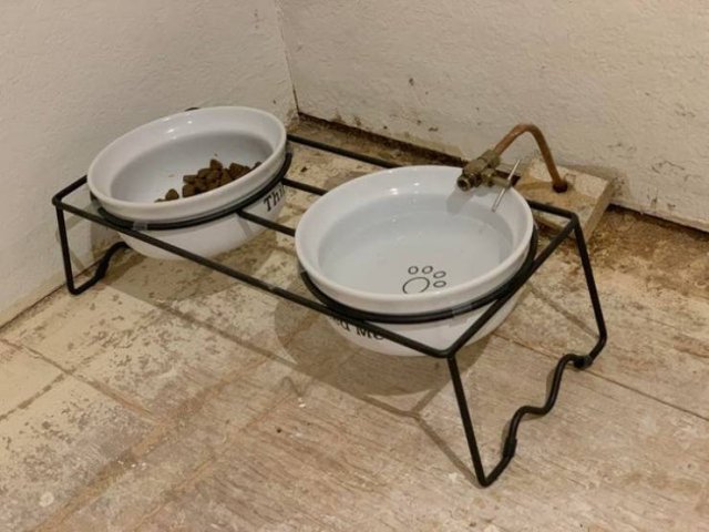 Simply Genius (22 pics)