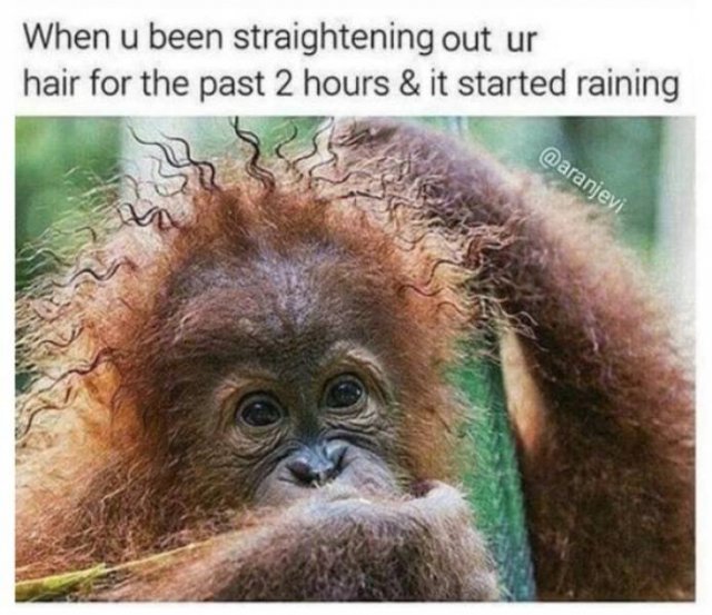 Period Memes (29 pics)
