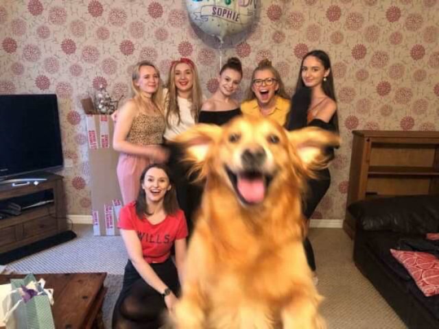 Life Is Awesome! (41 pics)