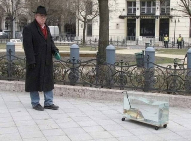 Simply Genius (22 pics)
