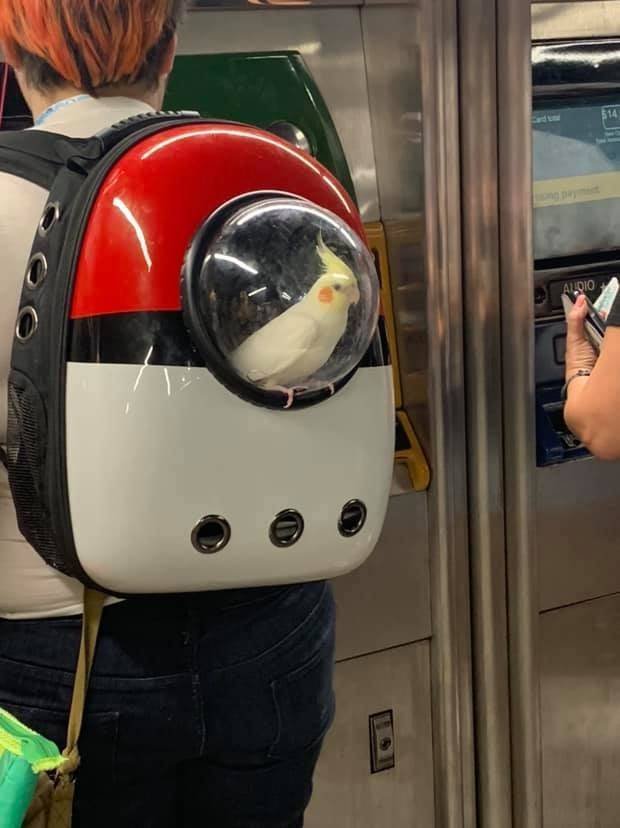 Acid Picdump. Part 2 (94 pics)