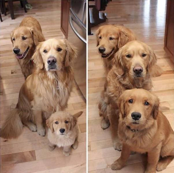 Acid Picdump. Part 2 (94 pics)