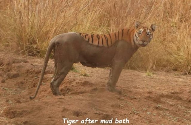 Acid Picdump. Part 2 (94 pics)
