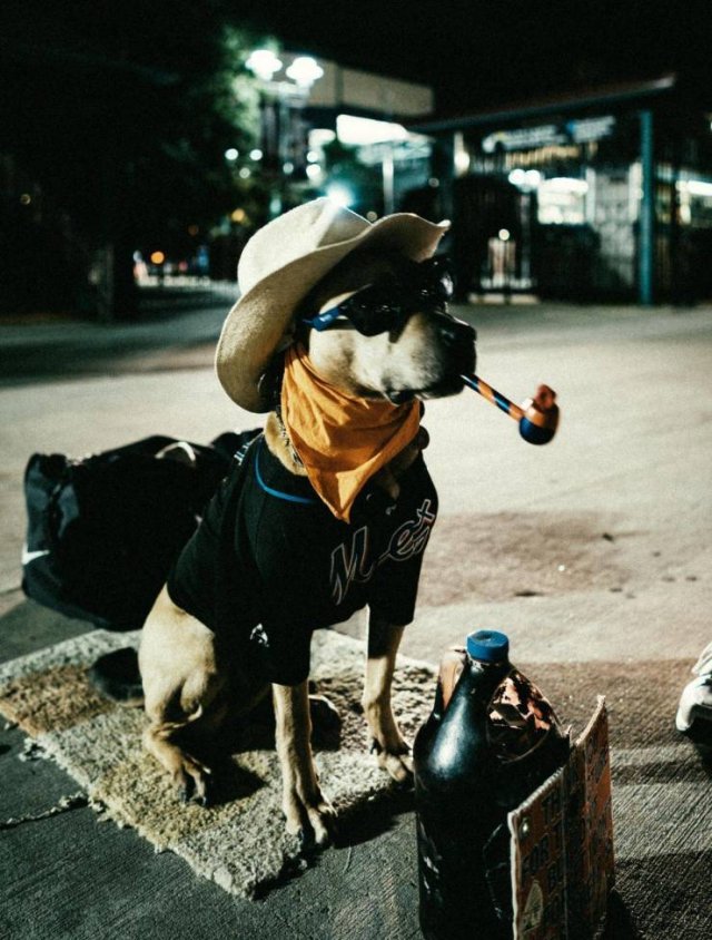 Acid Picdump. Part 2 (94 pics)
