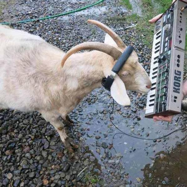 Acid Picdump. Part 2 (94 pics)