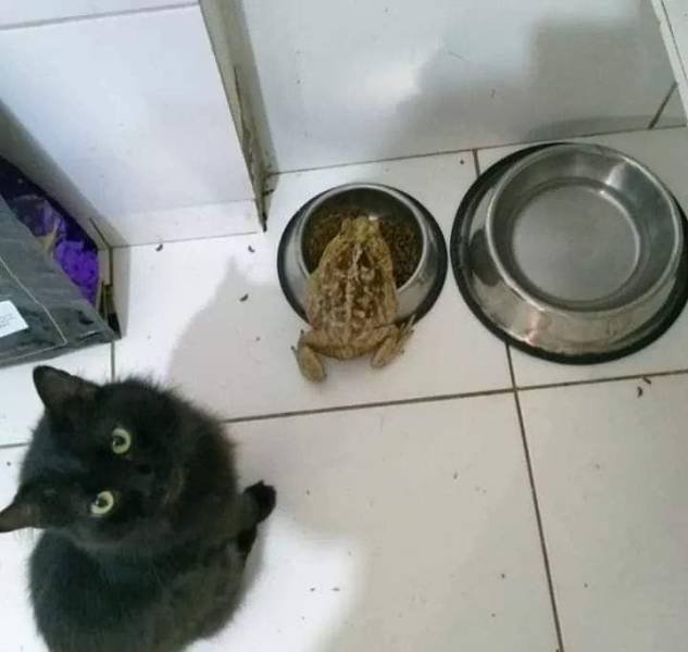 Acid Picdump. Part 2 (94 pics)