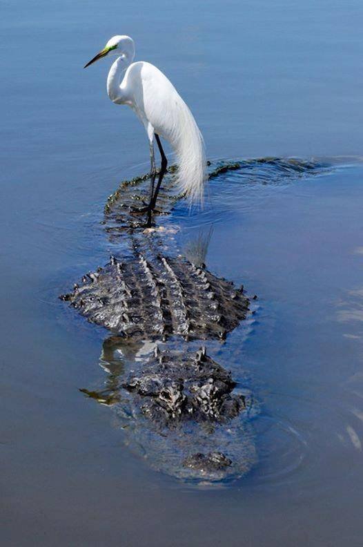 Acid Picdump. Part 2 (94 pics)