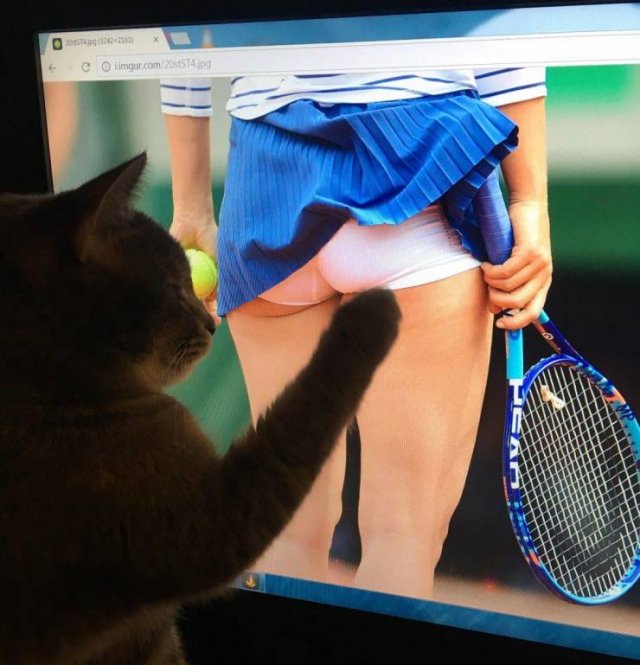 Acid Picdump. Part 2 (94 pics)