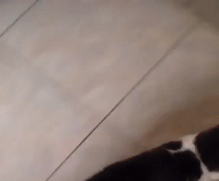 Acid Gifdump, July 1 (25 gifs)