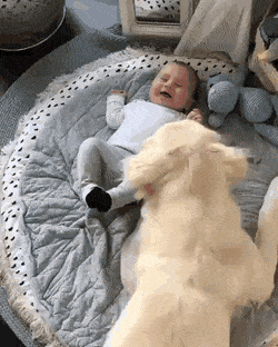 Acid Gifdump, July 1 (25 gifs)