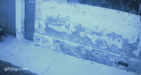 Acid Gifdump, July 1 (25 gifs)