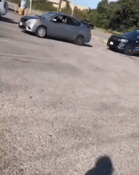 Acid Gifdump, July 1 (25 gifs)