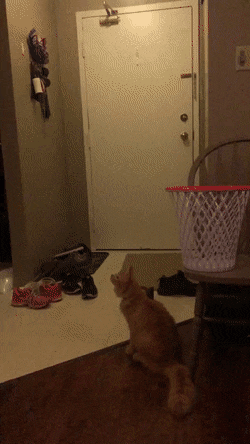 Acid Gifdump, July 1 (25 gifs)