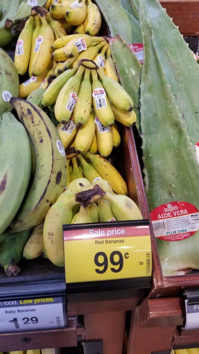 Totally Nailed It (50 pics)